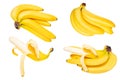 Tropical fruit isolated. Collection of tasty ripe bananas isolated on a white background. Health. Royalty Free Stock Photo