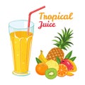 Tropical fruit juice in glass cup with straw Royalty Free Stock Photo
