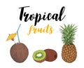 Tropical Fruit kiwi, pineapple, coconut cocktail. Royalty Free Stock Photo