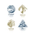 Tropical fruit logo collection. Engraved logotype set. Coconut, mango, cocoa, shea. Vector illustration