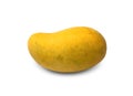 Tropical Fruit Mango Fresh Juicy round Yellow-coloured citrus fruit in South and East Asia