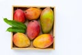 Tropical fruit, Mango with green leaves in wooden box on white Royalty Free Stock Photo