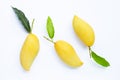 Tropical fruit, Mango on with leaves white background Royalty Free Stock Photo