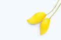 Tropical fruit, Mango  on white background Royalty Free Stock Photo