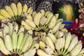 Tropical fruit on market. Small banana and pineapples. Yellow bananas selling. Royalty Free Stock Photo