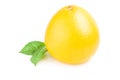 Tropical fruit over a white background Royalty Free Stock Photo