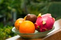 Tropical fruit on a plate Royalty Free Stock Photo