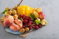 Tropical fruit plate with mango and peaches Royalty Free Stock Photo