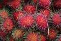 Tropical Fruit - Rambutan