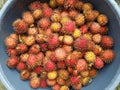 Tropical fruit rambutan, with a ripe red color in a container