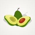 Tropical fruit set of avocado fruit illustration on isolated background Royalty Free Stock Photo
