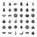 Tropical Fruit Solid Web Icons