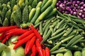 Tropical fruit and vegetable display, bitter gourd, pepper, eggplant, cucumber, okra