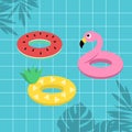 Tropical fruit watermelon pineapple and flamingo life ring on bl Royalty Free Stock Photo