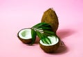 Tropical fruit whole and halves of coconut.Creative layout made of coconuts and leaves on pink background.. Food concept.