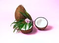 Tropical fruit whole and halves of coconut.Creative layout made of coconuts and leaves on pink background.