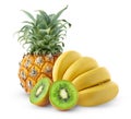 Isolated tropical fruits Royalty Free Stock Photo