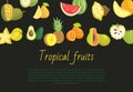 Tropical Fruits Banner with Exotic Food Jackfruit