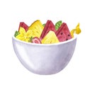 Tropical fruits in a cup. Watermelon strawberry pineapple carambola. Hand-drawn watercolor illustration on white