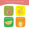 Tropical fruits Flashcards for Children. Cute fruit flashcards for children