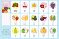 Tropical Fruits Flashcards Vector Collection