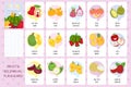 Tropical Fruits Flashcards Vector Collection