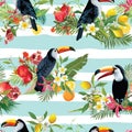 Tropical Fruits, Flowers and Toucan Birds Seamless Background. Retro Summer Pattern Royalty Free Stock Photo