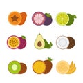 Tropical fruits icon set. Flat style, vector illustration. Royalty Free Stock Photo