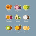 Tropical fruits icon set. Flat style, vector illustration.