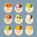 Tropical fruits icon set. Labels with fruits. Flat style, vector Royalty Free Stock Photo