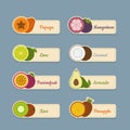 Tropical fruits icon set. Labels with fruits. Flat style, vector Royalty Free Stock Photo