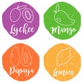 Tropical fruits icons on the bright grunge background.