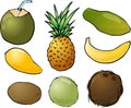 Tropical fruits illustration