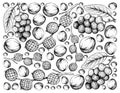 Hand Drawn Background of Rattan and Langsat Fruits