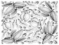 Hand Drawn Background of Abiu and Atherolepis Pierrei Fruits Royalty Free Stock Photo