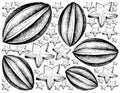 Hand Drawn Background of Fresh Carambola Fruits
