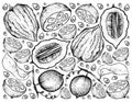 Hand Drawn Background of Monk Fruit and Etrog Royalty Free Stock Photo