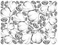 Hand Drawn Background of Beleric Myrobalan Fruits