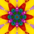 Tropical fruits kaleidoscope bright sunny mandala