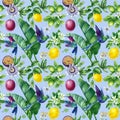 Tropical fruits and leaves, lemon, passionflower cute hummingbird birds. Floral Seamless pattern