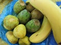 Tropical fruits in a package on the sand in Africa