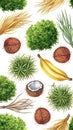 Tropical Fruits and Plants Collection Royalty Free Stock Photo