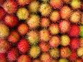 Tropical Fruits Rambutan