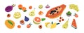 Tropical fruits set. Healthy exotic food. Natural fresh exotic vitamin. Cut papaya, lemon half, grapes, watermelon slice