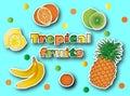 Tropical fruits stickers set