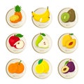 Tropical fruits vector illustrations set Royalty Free Stock Photo