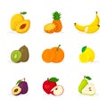 Tropical fruits vector illustrations set Royalty Free Stock Photo