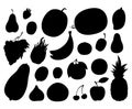 Collection of Tropical Fruits Vector silhouette Royalty Free Stock Photo