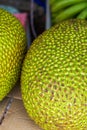 Tropical fruits, wood pineapple close-up, jackfruit