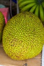 Tropical fruits, wood pineapple close-up, jackfruit